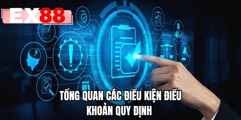 Tổng quan các điều kiện điều khoản quy định